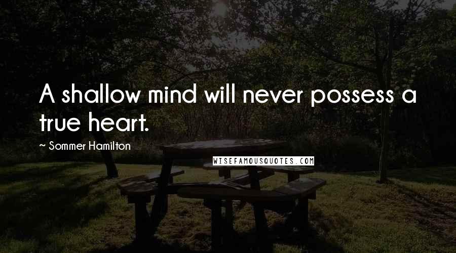 Sommer Hamilton Quotes: A shallow mind will never possess a true heart.
