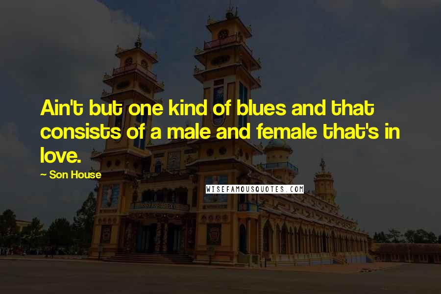 Son House Quotes: Ain't but one kind of blues and that consists of a male and female that's in love.