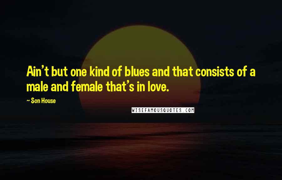 Son House Quotes: Ain't but one kind of blues and that consists of a male and female that's in love.