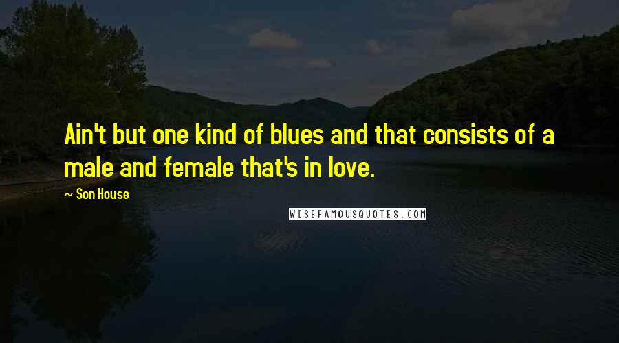 Son House Quotes: Ain't but one kind of blues and that consists of a male and female that's in love.