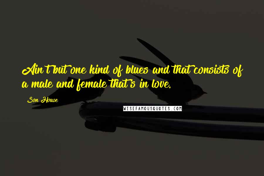 Son House Quotes: Ain't but one kind of blues and that consists of a male and female that's in love.