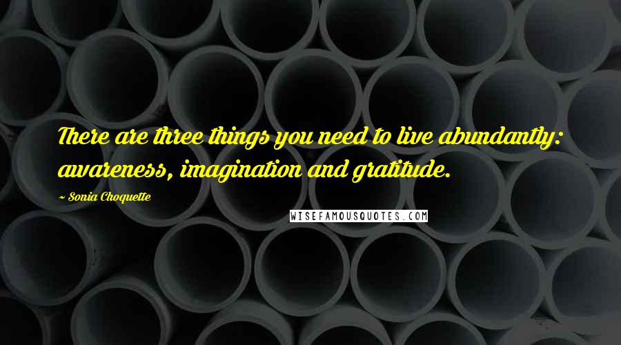 Sonia Choquette Quotes: There are three things you need to live abundantly: awareness, imagination and gratitude.