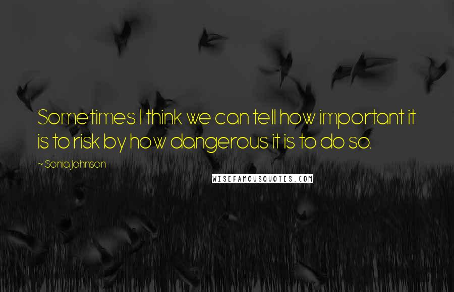 Sonia Johnson Quotes: Sometimes I think we can tell how important it is to risk by how dangerous it is to do so.