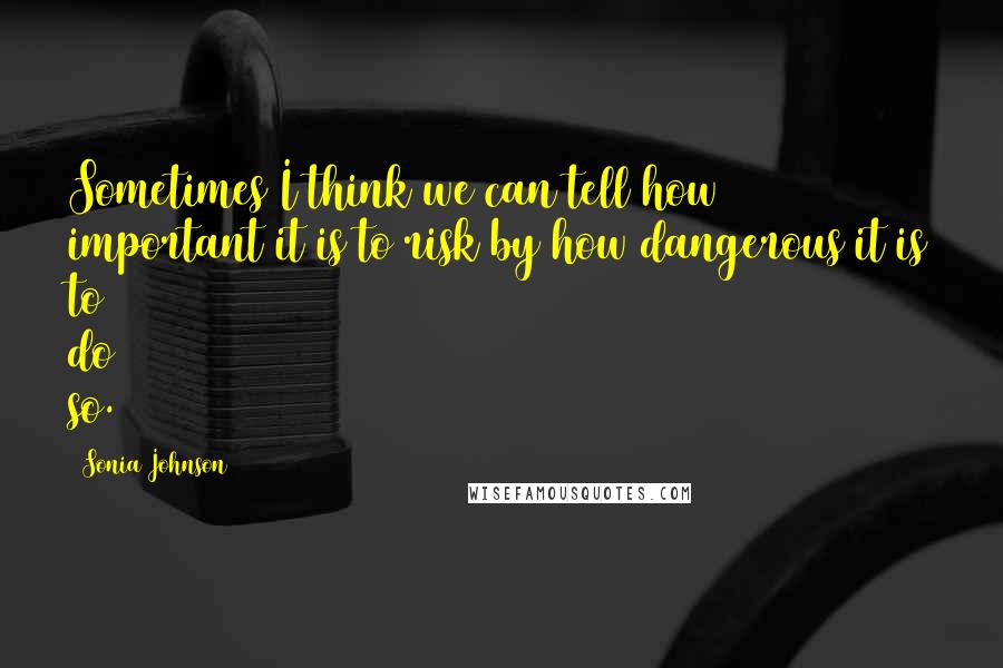 Sonia Johnson Quotes: Sometimes I think we can tell how important it is to risk by how dangerous it is to do so.