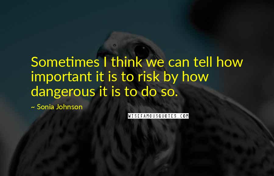 Sonia Johnson Quotes: Sometimes I think we can tell how important it is to risk by how dangerous it is to do so.