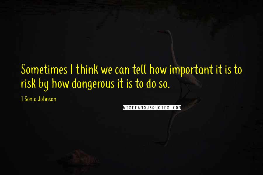 Sonia Johnson Quotes: Sometimes I think we can tell how important it is to risk by how dangerous it is to do so.