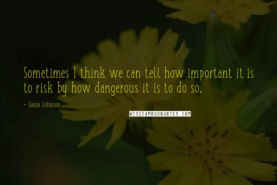 Sonia Johnson Quotes: Sometimes I think we can tell how important it is to risk by how dangerous it is to do so.