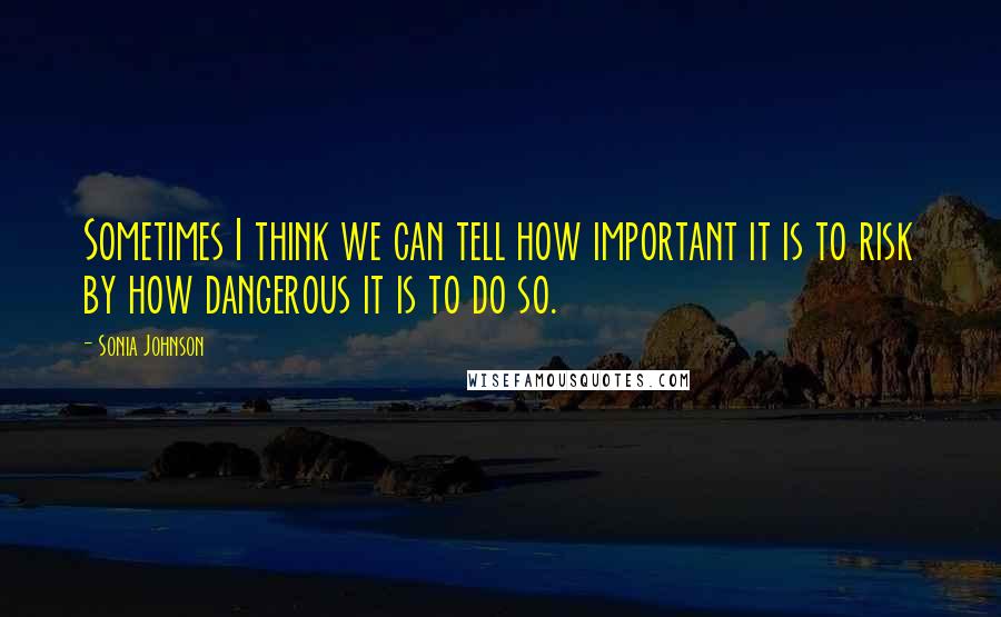 Sonia Johnson Quotes: Sometimes I think we can tell how important it is to risk by how dangerous it is to do so.