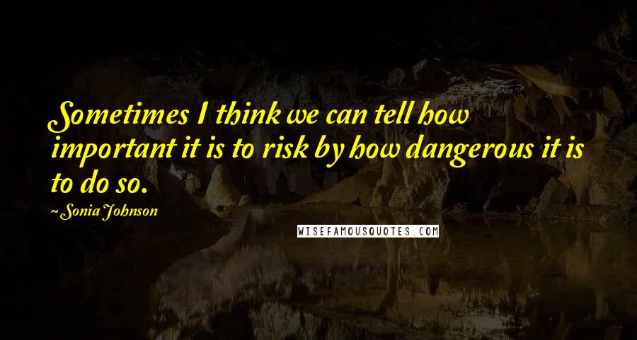 Sonia Johnson Quotes: Sometimes I think we can tell how important it is to risk by how dangerous it is to do so.