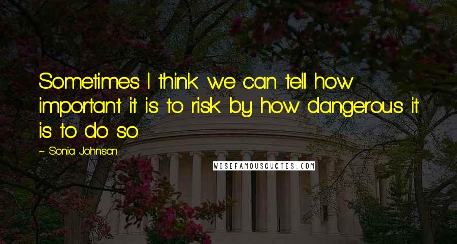 Sonia Johnson Quotes: Sometimes I think we can tell how important it is to risk by how dangerous it is to do so.