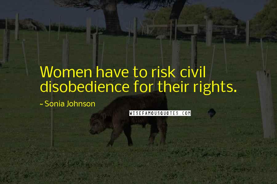 Sonia Johnson Quotes: Women have to risk civil disobedience for their rights.