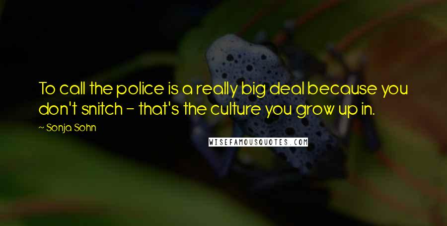 Sonja Sohn Quotes: To call the police is a really big deal because you don't snitch - that's the culture you grow up in.