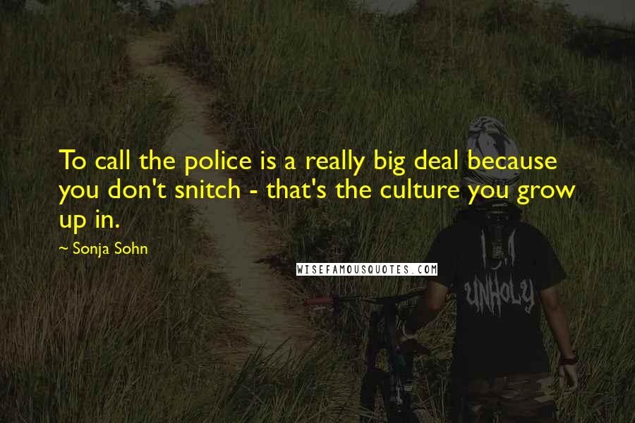 Sonja Sohn Quotes: To call the police is a really big deal because you don't snitch - that's the culture you grow up in.