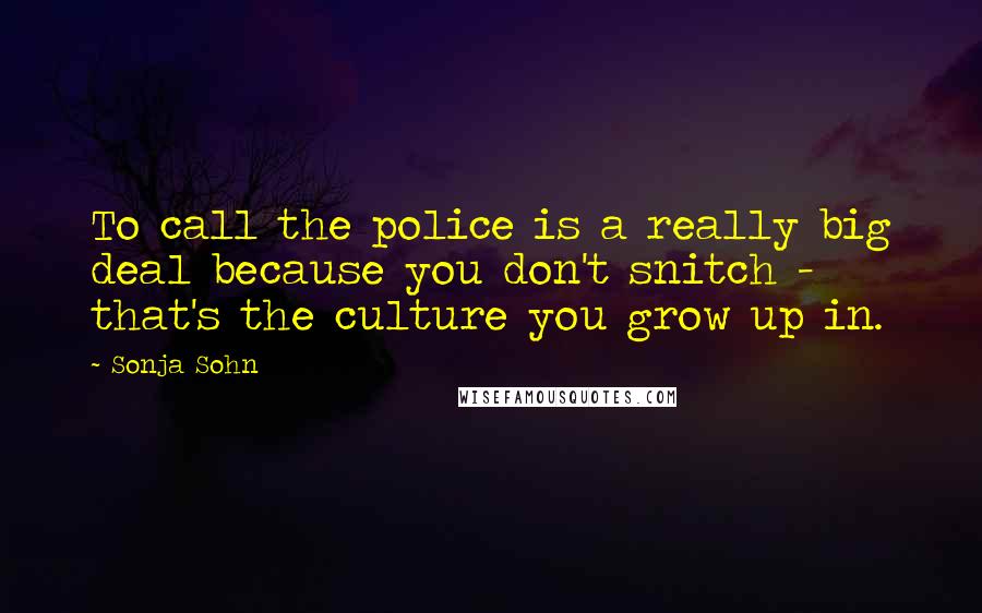 Sonja Sohn Quotes: To call the police is a really big deal because you don't snitch - that's the culture you grow up in.
