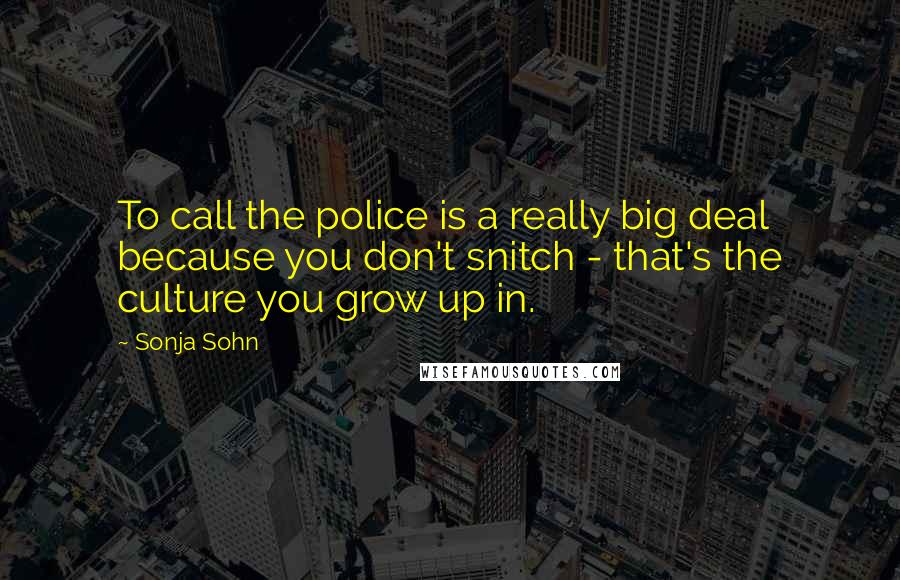 Sonja Sohn Quotes: To call the police is a really big deal because you don't snitch - that's the culture you grow up in.