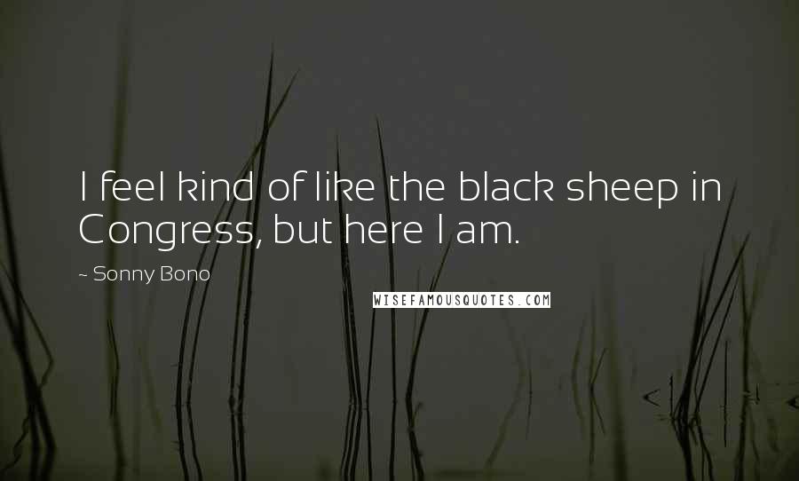 Sonny Bono Quotes: I feel kind of like the black sheep in Congress, but here I am.