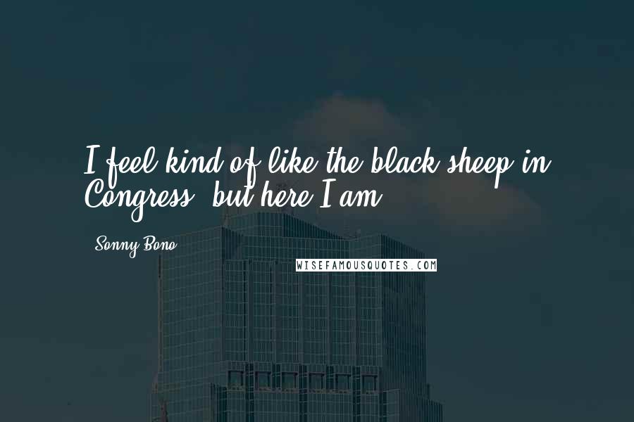 Sonny Bono Quotes: I feel kind of like the black sheep in Congress, but here I am.