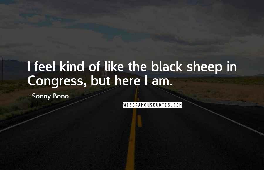 Sonny Bono Quotes: I feel kind of like the black sheep in Congress, but here I am.