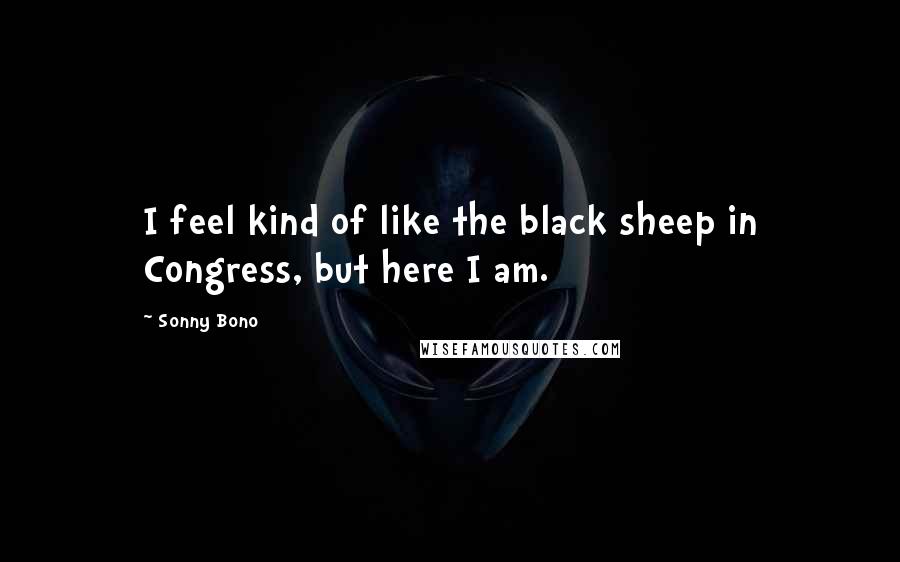 Sonny Bono Quotes: I feel kind of like the black sheep in Congress, but here I am.