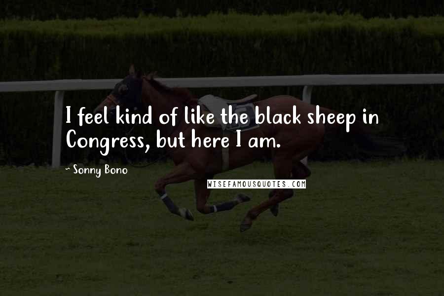 Sonny Bono Quotes: I feel kind of like the black sheep in Congress, but here I am.