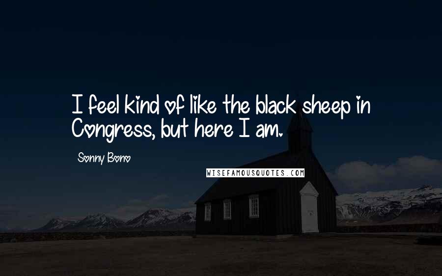 Sonny Bono Quotes: I feel kind of like the black sheep in Congress, but here I am.