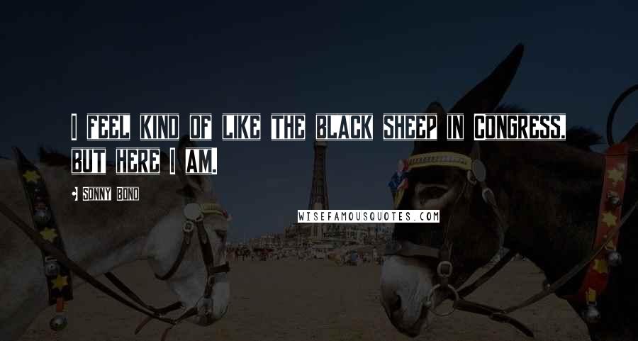 Sonny Bono Quotes: I feel kind of like the black sheep in Congress, but here I am.