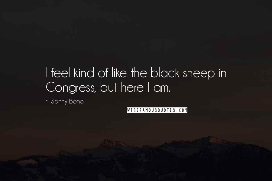 Sonny Bono Quotes: I feel kind of like the black sheep in Congress, but here I am.