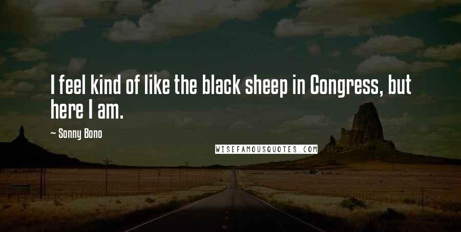 Sonny Bono Quotes: I feel kind of like the black sheep in Congress, but here I am.