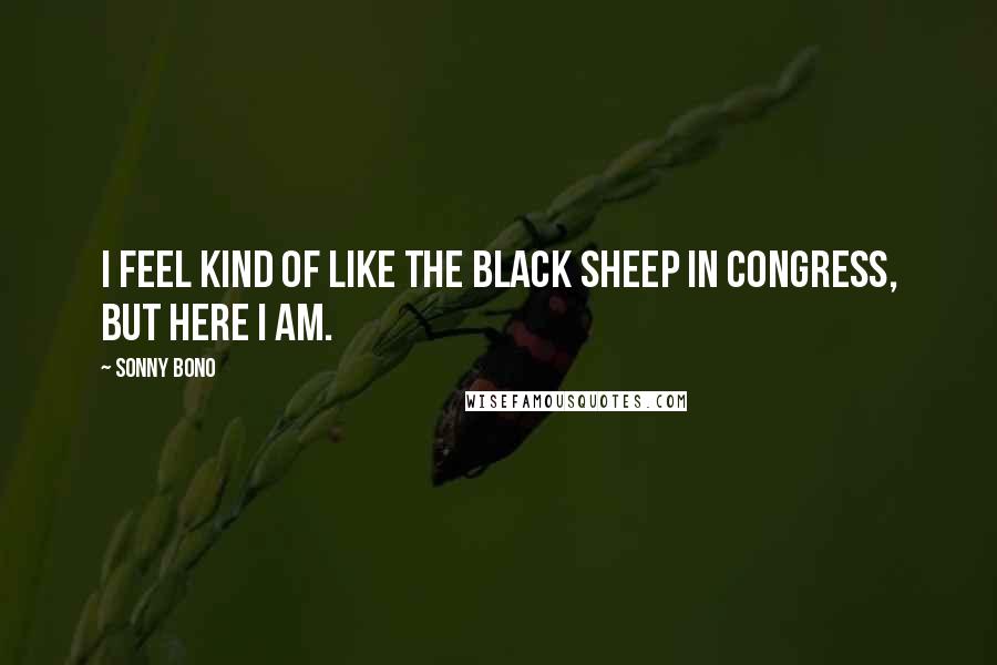 Sonny Bono Quotes: I feel kind of like the black sheep in Congress, but here I am.