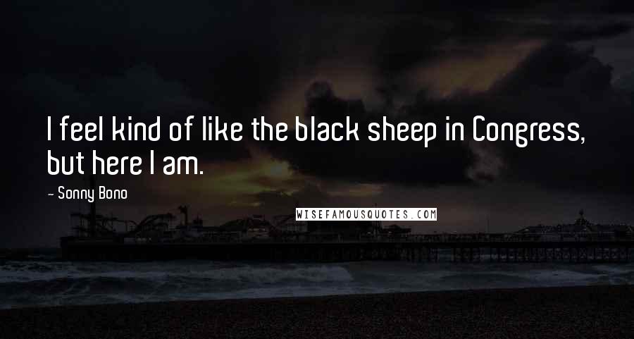 Sonny Bono Quotes: I feel kind of like the black sheep in Congress, but here I am.