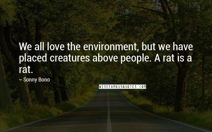 Sonny Bono Quotes: We all love the environment, but we have placed creatures above people. A rat is a rat.