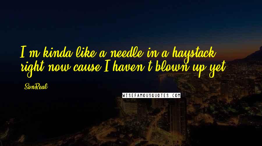 SonReal Quotes: I'm kinda like a needle in a haystack right now cause I haven't blown up yet ...