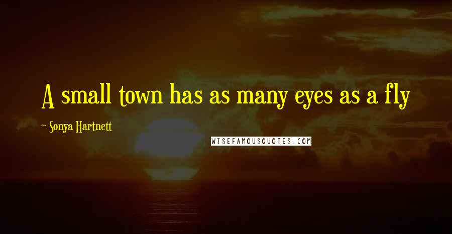 Sonya Hartnett Quotes: A small town has as many eyes as a fly