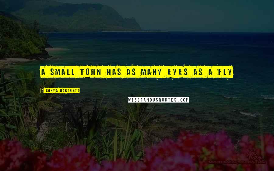 Sonya Hartnett Quotes: A small town has as many eyes as a fly