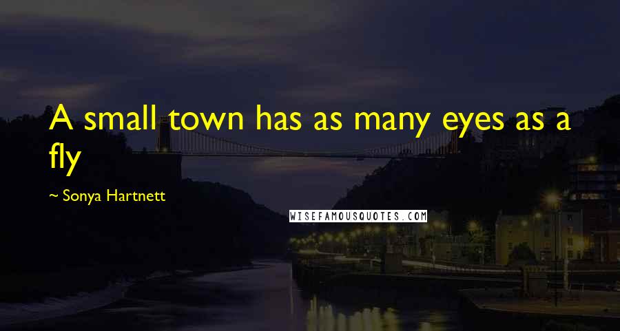 Sonya Hartnett Quotes: A small town has as many eyes as a fly