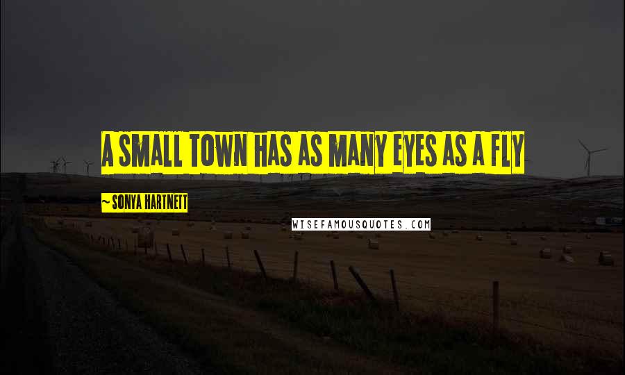 Sonya Hartnett Quotes: A small town has as many eyes as a fly