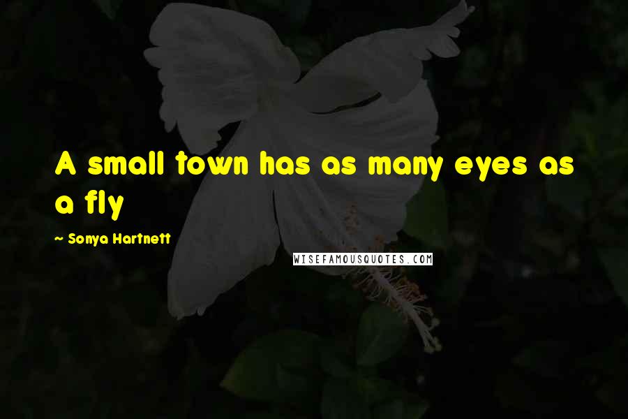 Sonya Hartnett Quotes: A small town has as many eyes as a fly