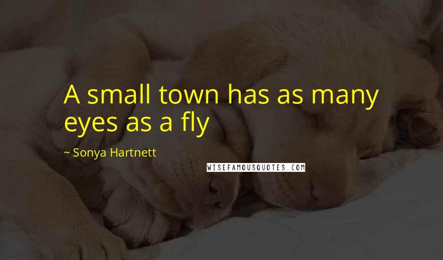 Sonya Hartnett Quotes: A small town has as many eyes as a fly