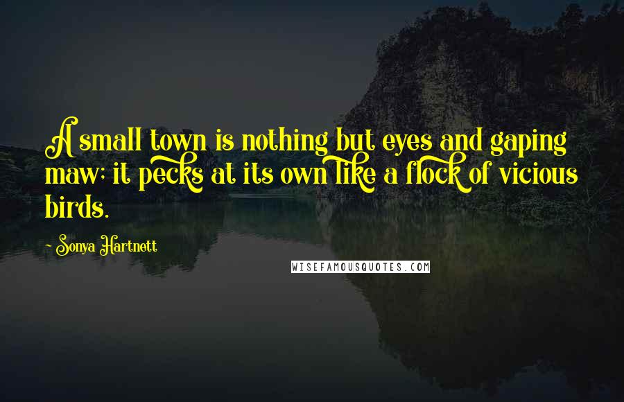 Sonya Hartnett Quotes: A small town is nothing but eyes and gaping maw; it pecks at its own like a flock of vicious birds.