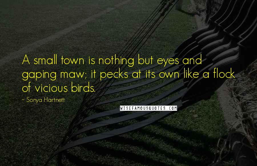 Sonya Hartnett Quotes: A small town is nothing but eyes and gaping maw; it pecks at its own like a flock of vicious birds.