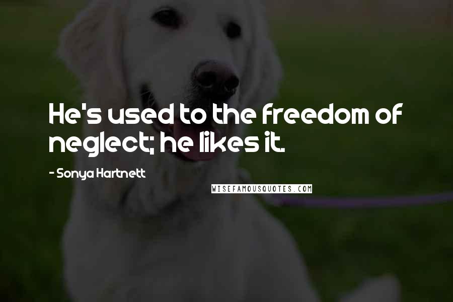 Sonya Hartnett Quotes: He's used to the freedom of neglect; he likes it.