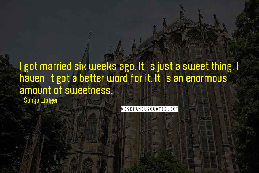 Sonya Walger Quotes: I got married six weeks ago. It's just a sweet thing. I haven't got a better word for it. It's an enormous amount of sweetness.