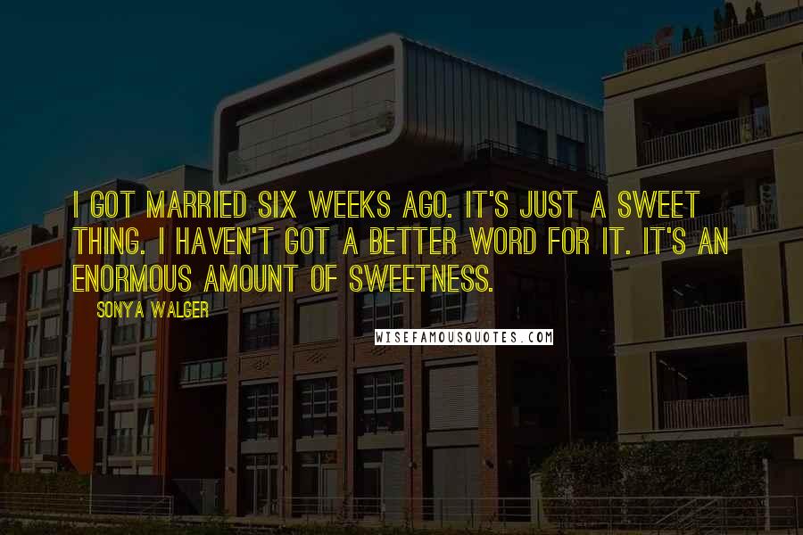 Sonya Walger Quotes: I got married six weeks ago. It's just a sweet thing. I haven't got a better word for it. It's an enormous amount of sweetness.