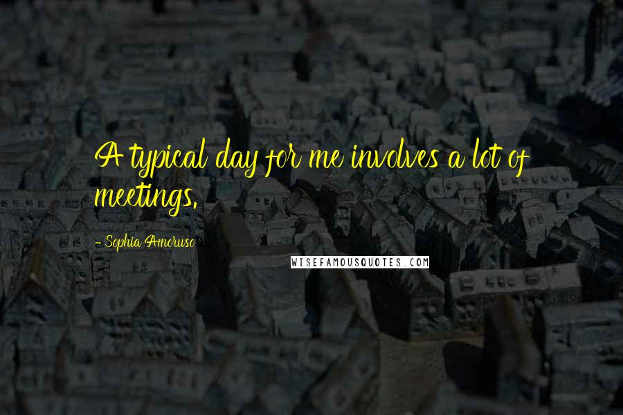 Sophia Amoruso Quotes: A typical day for me involves a lot of meetings.