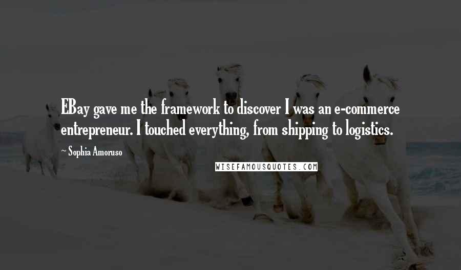 Sophia Amoruso Quotes: EBay gave me the framework to discover I was an e-commerce entrepreneur. I touched everything, from shipping to logistics.