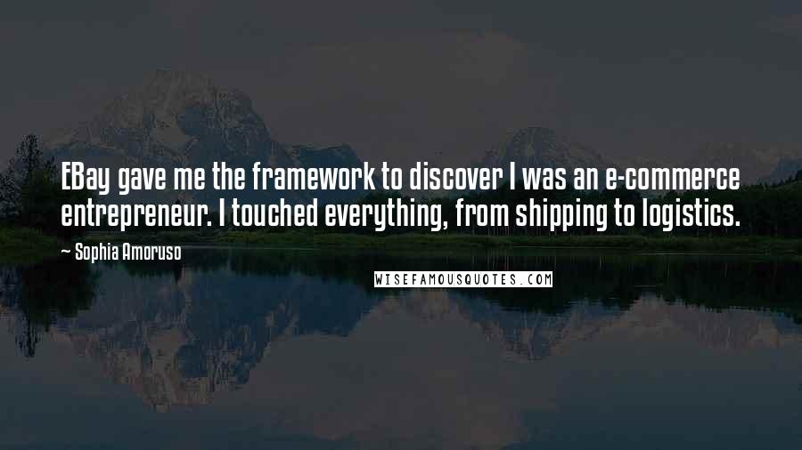 Sophia Amoruso Quotes: EBay gave me the framework to discover I was an e-commerce entrepreneur. I touched everything, from shipping to logistics.