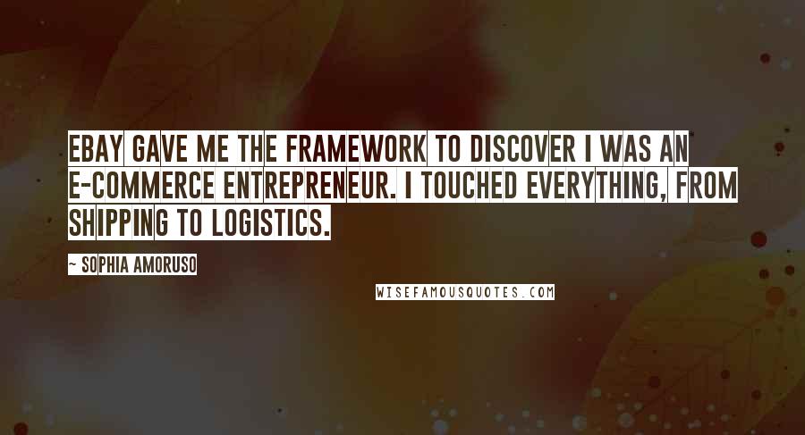 Sophia Amoruso Quotes: EBay gave me the framework to discover I was an e-commerce entrepreneur. I touched everything, from shipping to logistics.