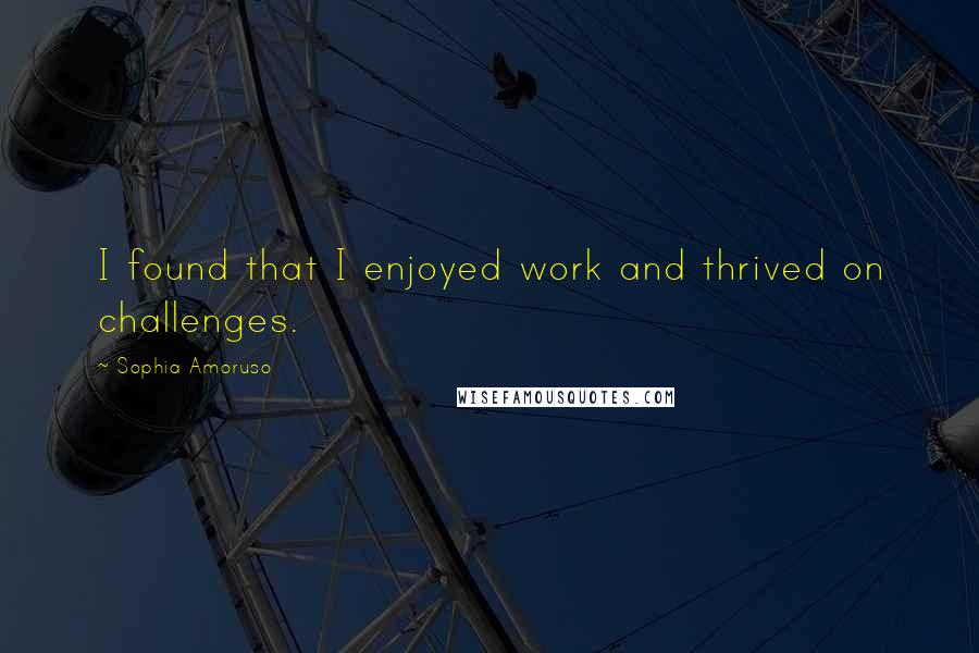 Sophia Amoruso Quotes: I found that I enjoyed work and thrived on challenges.