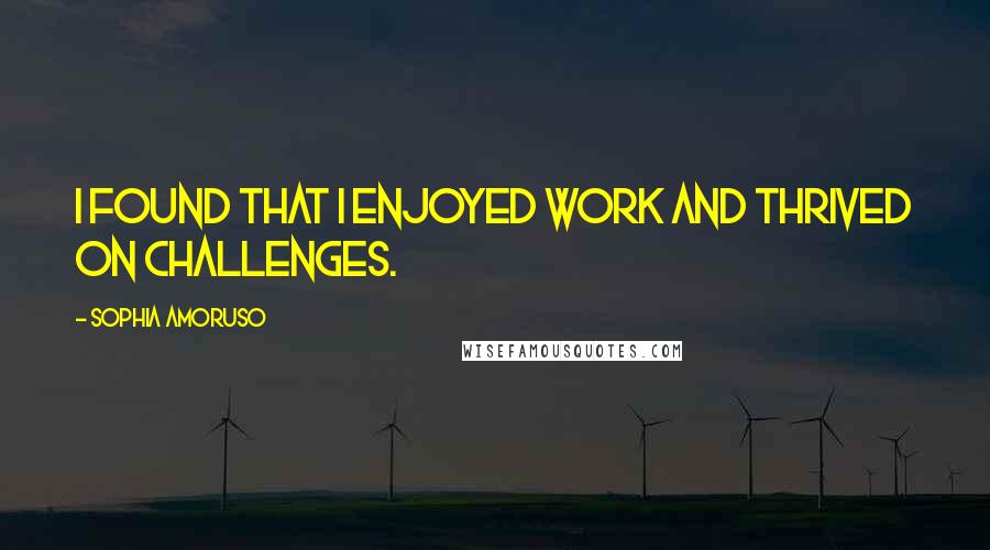 Sophia Amoruso Quotes: I found that I enjoyed work and thrived on challenges.