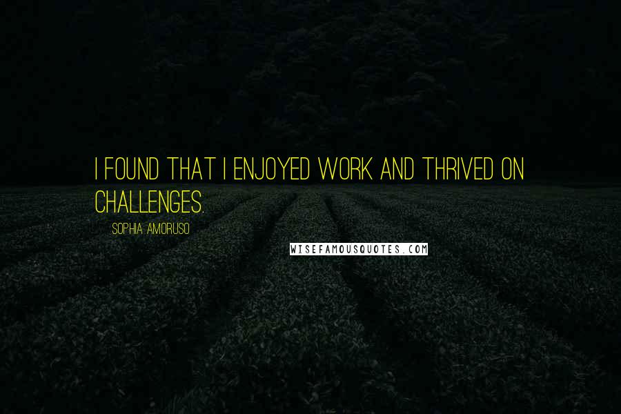 Sophia Amoruso Quotes: I found that I enjoyed work and thrived on challenges.